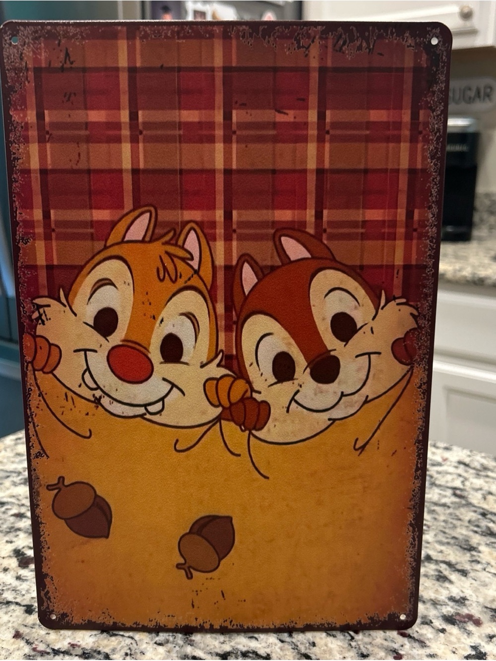 Disney Chip and Dale Metal Sign - Orange, Red, Brown 8 x 12”